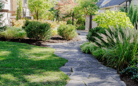 Organic lawn care